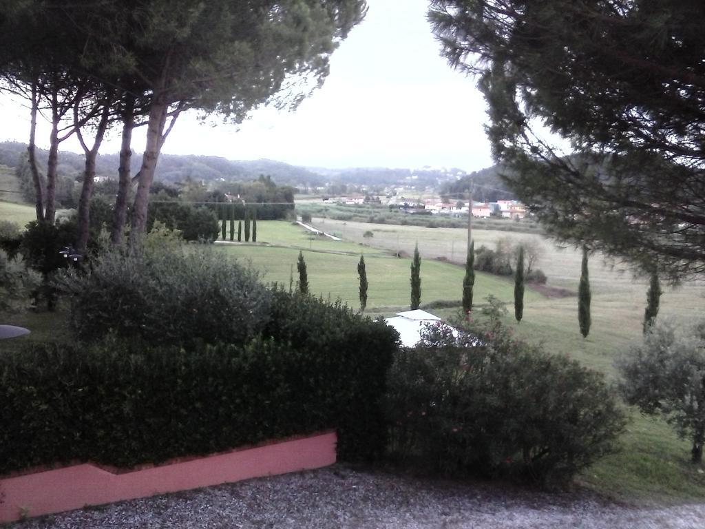 Podere Lo Stringaio Fauglia Habitación foto